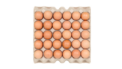 Chicken eggs in carton box isolated on white background with clipping path.