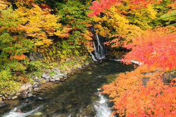 紅葉の中野もみじ山公園