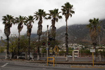 mountains in the city Monterrey, México Center palms 