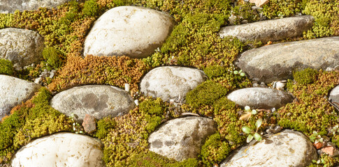 Surface with cobblestones and green moss