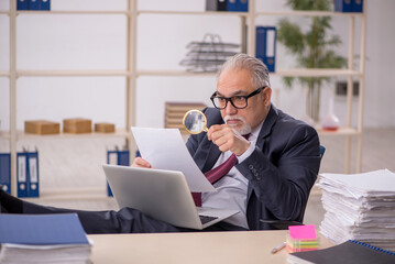 Old male boss working in the office