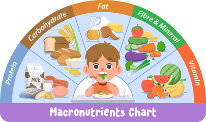 Obraz na płótnie Canvas a white boy eating on the table with macronutrients chart, protein, carbohydrates, fat, vitamin, mineral, fibre, and foods, vegetables, fruits, illustration cartoon character vector design on white