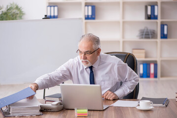 Old male employee working in the office