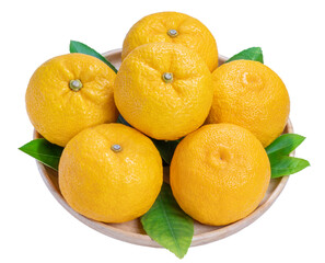 Yuzu Orange fruit on White backghround. Sweet Yuzu Orange fruit isolate on white PNG File