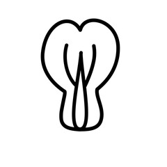 Vegetable outline icon