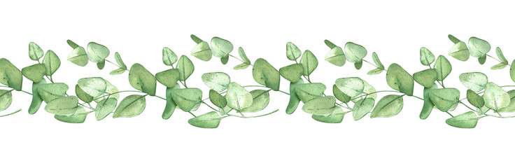 Green eucalyptus border. Green frame for rustic background. Horizontal template for a banner or wedding invitation. Watercolor isolated botanical illustration with plants. © XeniaDenisova