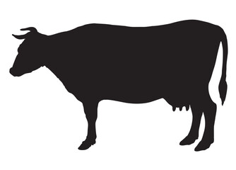 Vector illustration of a black silhouette cow. Cattle. Bull. Black and white drawing by hand. Isolated white background. Icon cow side view profile.