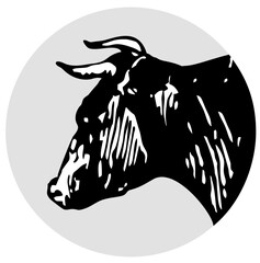 Cows head. Hand drawn in a graphic style. Sketch vintage vector engraving illustration for poster, web. Isolated on white background stylized vector symbol.