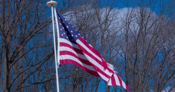 Static shot of an American flag flying on a flagpole with trees behind