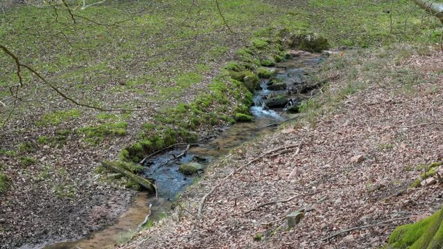 Natural river in the woods with meadow and riverbank, view from the distance, tree branches in front, Erbach, Germany