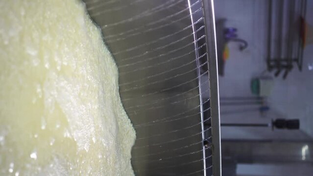 Curd and whey in tank at cheese factory with hot water for heating, closeup. Cheesemaking concept. Close-up.