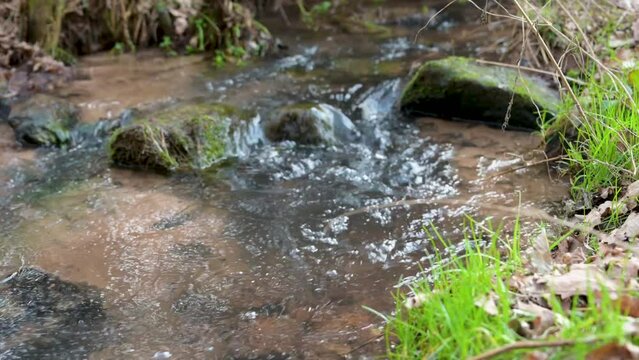Close-up water flows through rocks in a river in the woods, grass at the riverbank, Erbach, Germany