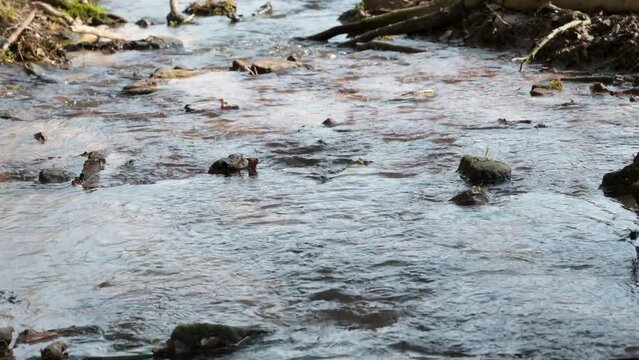 Calm steam river with lots of small rocks and stones in it, no visible horizon or sky, Erbach, Germany