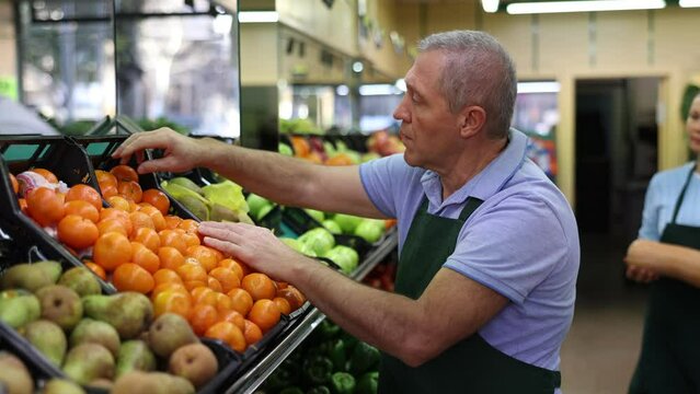 Skillful busy elderly salesman in apron laying out tangerines on shelves in grocery shop