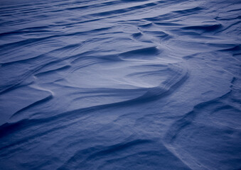 雪原の風紋