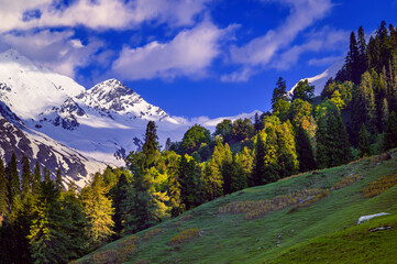 Spring in the mountains. The scenic view of Majestic Himalayan mountain ranges in Parvati Valley, Himachal Pradesh, India.	