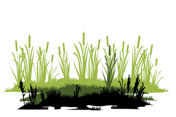 Swampy coast. Thickets of reeds. Swamp landscape. View of the river bank. Silhouette picture. Isolated on white background. Vector.