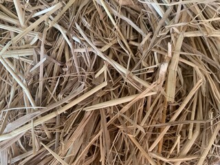 background of light brown straw