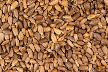 heavily fried sunflower seeds close up