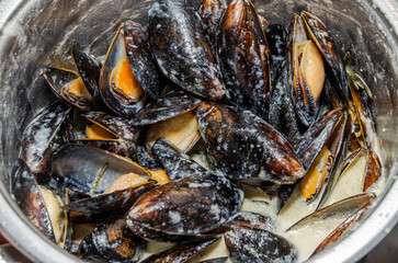 The chef cooks mussels in a shell in blue cheese sauce