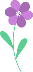Flower Illustration