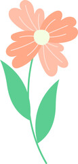 Flower Illustration