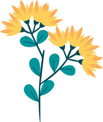 Flower Illustration