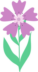 Flower Illustration