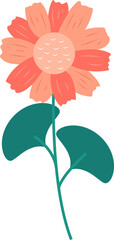 Flower Illustration
