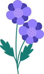 Flower Illustration