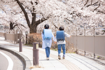 桜の下を歩く新一年生