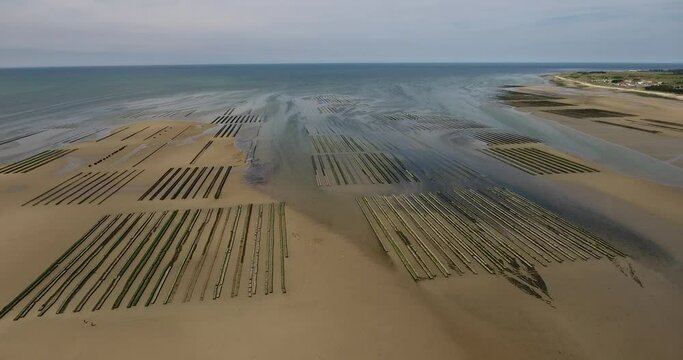 Parc &agrave; huitres de la c&ocirc;te normande