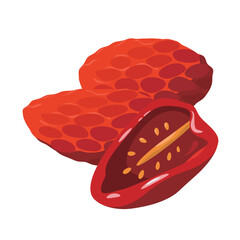 Vector illustration of dried tomato.