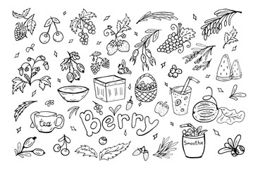 Set berries summer doodle. Vector illustration. Berry, leaves, baskets, smoothies, healthy food.
