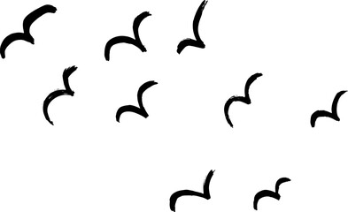 Flying Flock of Birds Hand Drawn Brush Illustration.