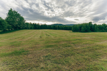 green field and sky