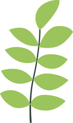 Leaf Illustration