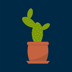 Houseplant cactus in a pot, natural decor for home and interior