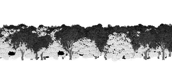 trees in the forest isolated on white background, sketch, outline illustration, cg render