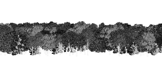 trees in the forest isolated on white background, sketch, outline illustration, cg render