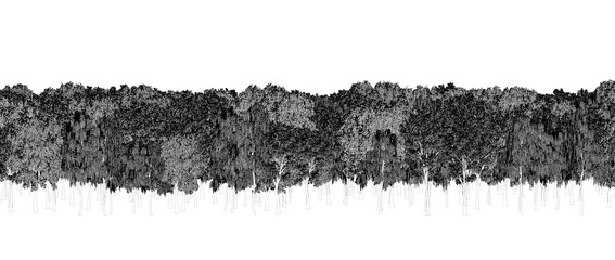 trees in the forest isolated on a transparent background, sketch, outline illustration, cg render