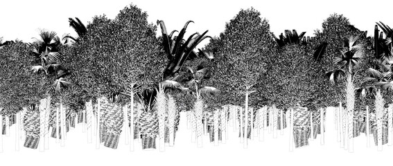 Fototapeta premium trees in the forest isolated on a transparent background, sketch, outline illustration, cg render