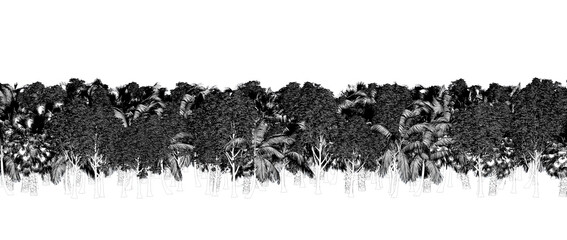 trees in the forest isolated on a transparent background, sketch, outline illustration, cg render