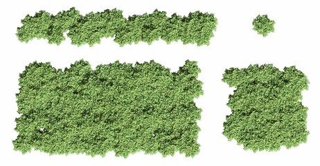 trees in the forest, top view, area view, isolated on white background, 3D illustration, cg render