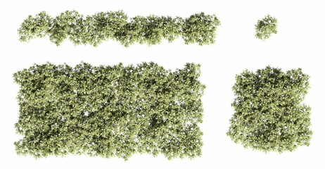 trees in the forest, top view, area view, isolated on white background, 3D illustration, cg render