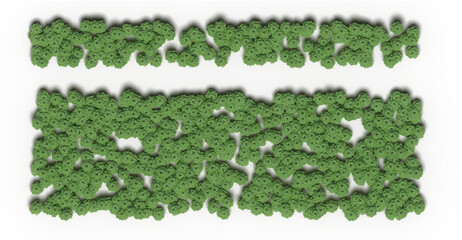 trees in the forest, top view, area view, isolated on transparent background, 3D illustration, cg render