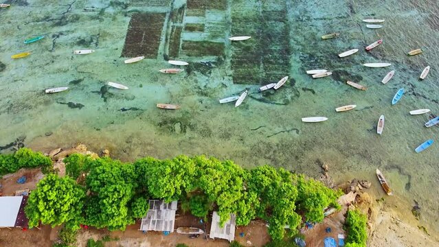 Beautiful aerial view of houses and a beach and underwater seaweed grass plantation fields. Aquaculture farm with boats in clear shimmering water during evening in Nusa Lembongan, Selat Ceningan, Bali