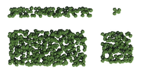 trees in the forest, top view, area view, isolated on transparent background, 3D illustration, cg render