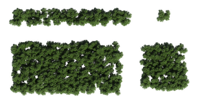 trees in the forest, top view, area view, isolated on transparent background, 3D illustration, cg render