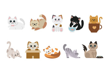 Cat poses vector collection. Set of cat poses illustration flat design.